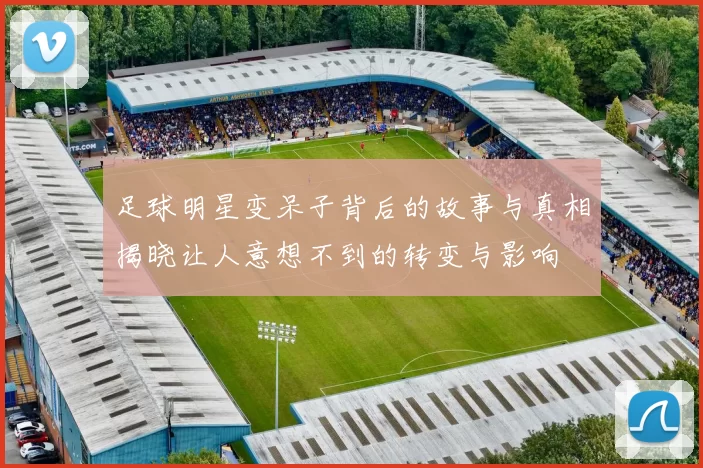 足球明星变呆子背后的故事与真相揭晓让人意想不到的转变与影响