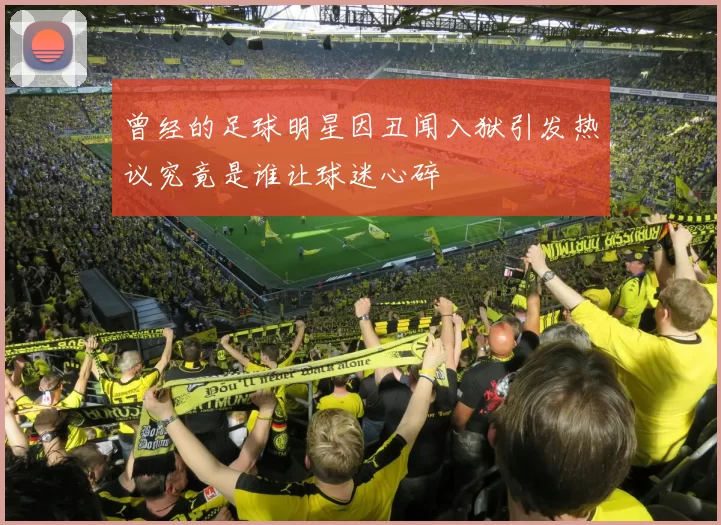曾经的足球明星因丑闻入狱引发热议究竟是谁让球迷心碎