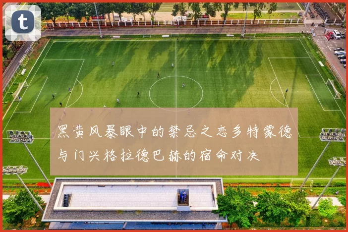 黑黄风暴眼中的禁忌之恋多特蒙德与门兴格拉德巴赫的宿命对决