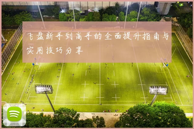 飞盘新手到高手的全面提升指南与实用技巧分享