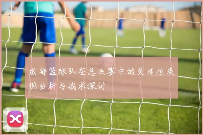 成都篮球队在总决赛中的灵活性表现分析与战术探讨