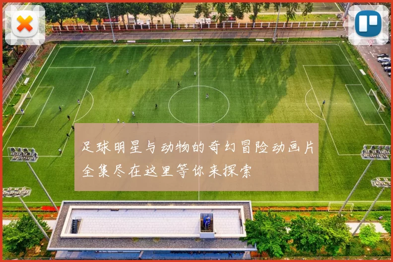足球明星与动物的奇幻冒险动画片全集尽在这里等你来探索