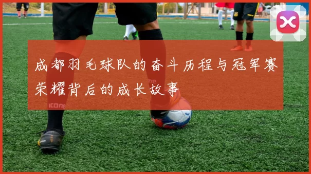 成都羽毛球队的奋斗历程与冠军赛荣耀背后的成长故事