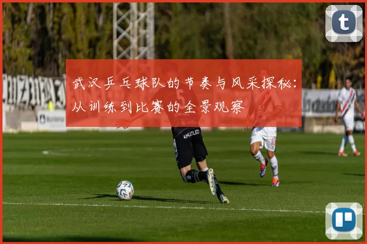 武汉乒乓球队的节奏与风采探秘：从训练到比赛的全景观察
