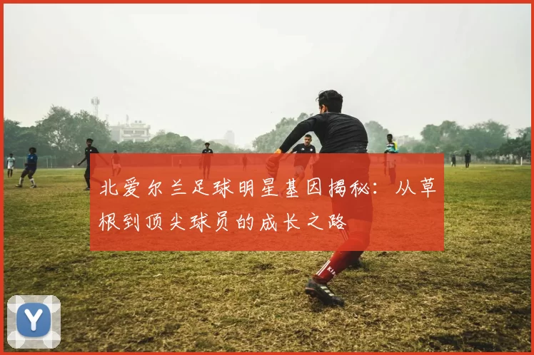 北爱尔兰足球明星基因揭秘：从草根到顶尖球员的成长之路