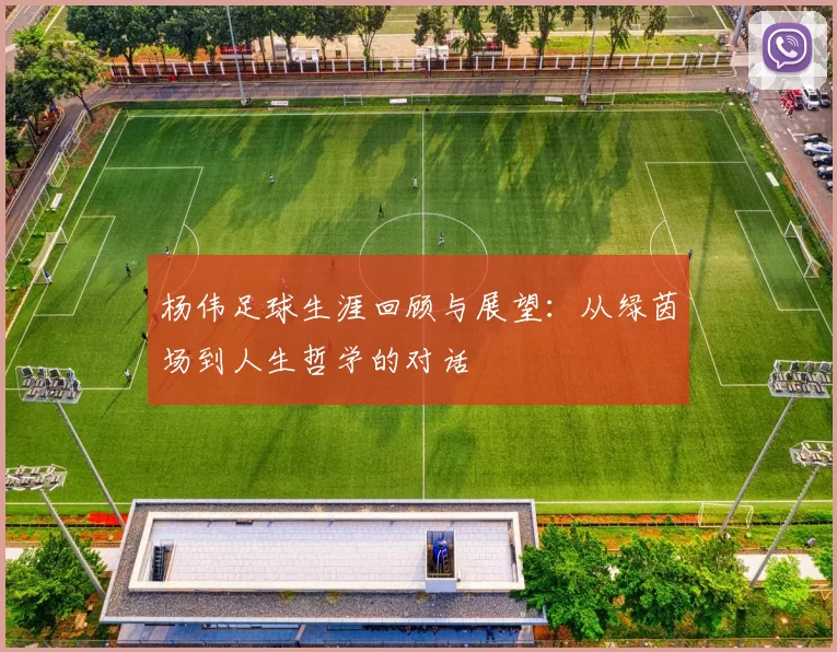 杨伟足球生涯回顾与展望：从绿茵场到人生哲学的对话