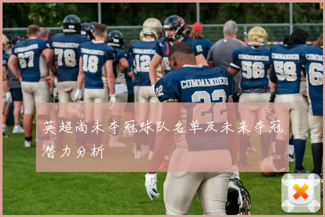 英超尚未夺冠球队名单及未来夺冠潜力分析