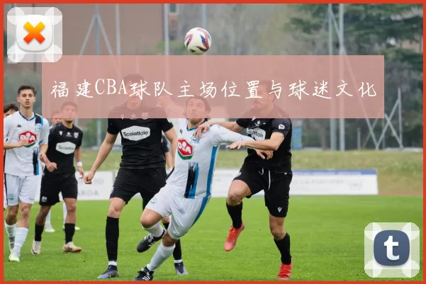福建CBA球队主场位置与球迷文化