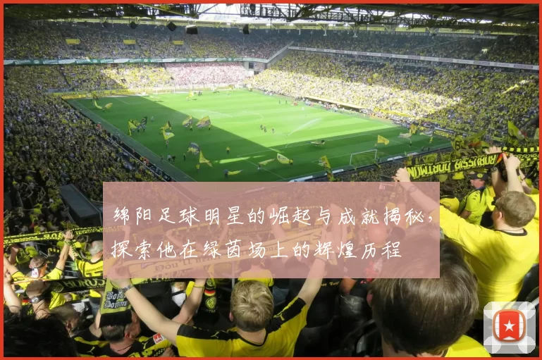 绵阳足球明星的崛起与成就揭秘，探索他在绿茵场上的辉煌历程
