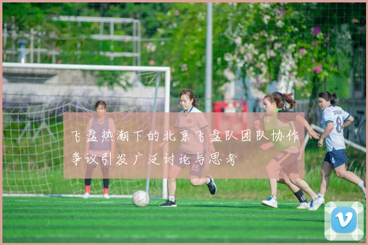 飞盘热潮下的北京飞盘队团队协作争议引发广泛讨论与思考