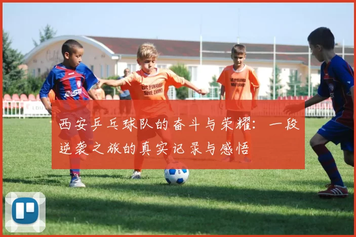 西安乒乓球队的奋斗与荣耀：一段逆袭之旅的真实记录与感悟