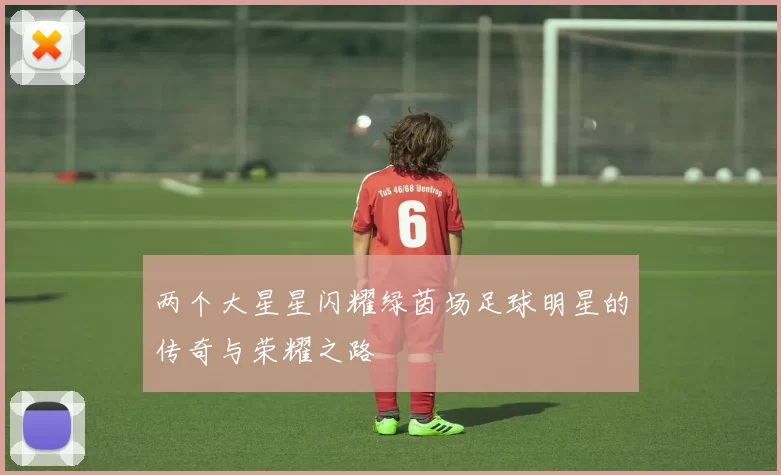 两个大星星闪耀绿茵场足球明星的传奇与荣耀之路
