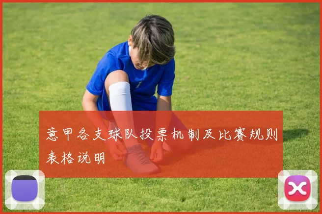 意甲各支球队投票机制及比赛规则表格说明